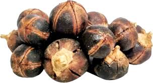 Image result for Thespesia garckeana