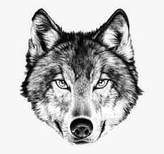 Developed by aaron guzikowski (prisoners), the first two episodes were directed by ridley scott (alien), who also serves as executive producer for the series. Wolves Transparent Angry Wolf Face Drawing Hd Png Download Transparent Png Image Pngitem