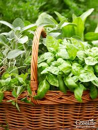 Use about 1 teaspoon crumbled dried leaves in place of a tablespoon of fresh herbs. Growing Herbs 7 Herbs To Start From Seed