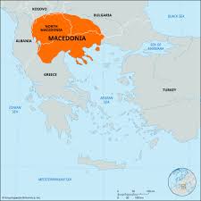 Image result for Vepris macedoi