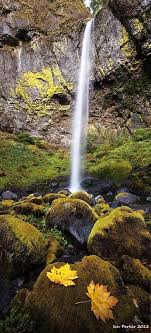 Evanescent Light Fall Colors Places To Travel Columbia River Gorge Fall Colors