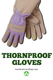 Garden Gloves For Thorns Gardening Gloves Amazing Gardens Gloves