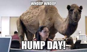 Geico hump day camel commercial happier than a camel on wednesday. Pin On Mind Travels