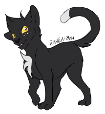 Turtlecrawl turtle skyclan skc warriors warriorcats. Ravenpaw By Tusofsky Warrior Cats Warrior Cats Series Warrior Cats Art