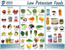 List Of Low Potassium Foods Printable Wow Com Image Results Food For Kidney Health Kidney Disease Recipes Potassium Foods