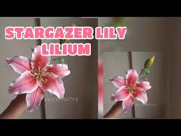 Check spelling or type a new query. Clay Lily Gumpaste Lily Sugar Paste Stargazer Lily Flower Without Cutters And Veiners Youtube