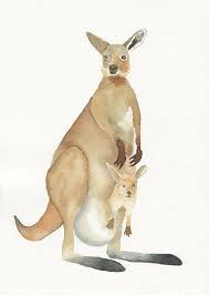 Mom Kangaroo With Baby Original Watercolor Painting Mom And Baby Mom Baby Baby Kangaroo Nurs Kangaroo Illustration Watercolor Animals Watercolor Paintings