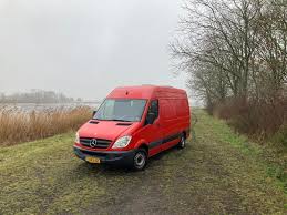 Image result for Hibiscus Red 2007 Sprinter