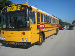 Image result for School Bus Yellow 2019 Transit
