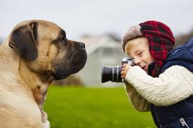 How much do pet photographers make? What You Need To Be A Professional Pet Photographer How To Become A Pet Photographer Presets Com
