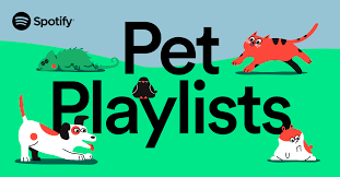Check spelling or type a new query. Home Spotify For Pets