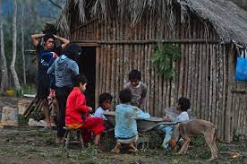 Because of their linguistic similarities and similar rituals. Liderancas Guarani Mbya Denunciam Mapeamento Indevido Em Areas Indigenas No Rio Grande Do Sul Cimi
