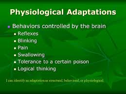 Adaptations Ppt Video Online Download