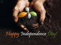 Happy independence day india with this hope happy independence day to you all. Hd Wallpaper 15 August 2014 Happy Independence Day India Flag Wallpaper Flare