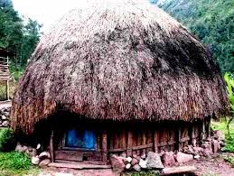 Pada tiap daerahnya memiliki ciri khas yang untuk lebih lengkapnya lagi simaklah pembahasan kami mengenai materi rumah adat papua meliputi nama, ciri khas, gambar beserta. Rumah Adat 34 Provinsi Di Indonesia Lengkap Dan Asalnya Coretan Guru