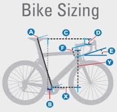 Bike Fitting Vs Bike Sizing Two Pivotal Aspects Of Cycling