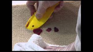 A wax stain is somewhat similar to a grease stain, that's why for this third step we recommend pretreating the wax spill with our tough stain pretreat for carpet & upholstery. How To Remove Colored Candle Wax From Carpet From A Training Class For Professional Carpet Cleaners Youtube