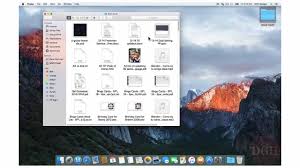 Image result for Computers Software File Management File Managers OS-2