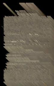 Image result for Cyphia gamopetala