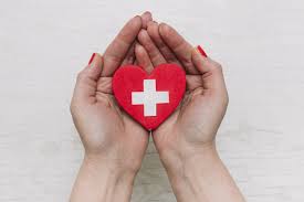 Hachim ibn mohamed ibn said hachim. 10 Natural Remedies Family Travel First Aid Kit Undercover Hippy Bus