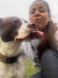 Volunteer opportunities in Mansfield area