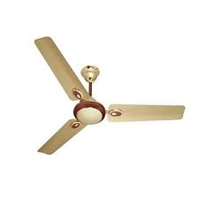 Check spelling or type a new query. Havells Electric Ceiling Fans Fusion56bb Buy Online At Best Price In Uae Amazon Ae