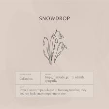 Snowdrop Flower Necklace Flower Meanings Birth Flower Tattoos January Birth Flowers
