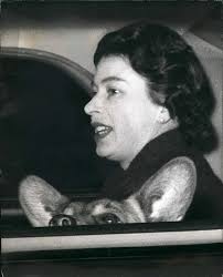 Das Luxus-Leben der royalen Vierbeiner