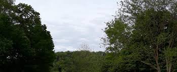 This large campground is in a lodgepole pine forest near colter bay village. Driftstone Campground Blog