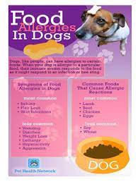 There are many potential symptoms of a grass allergy in a dog. Food Allergies In Dogs Veterinarian In Montgomery Al Animal Hospital Of Montgomery