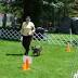 Obedience trial