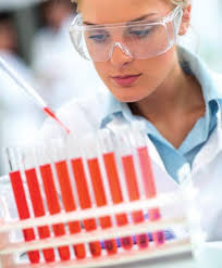 16 05 Jahresbericht Fleck.indd