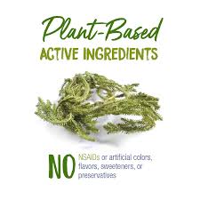 Image result for Lycopodium clavatum