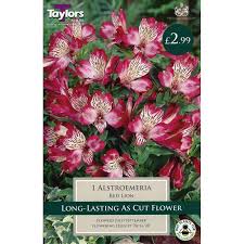 Check spelling or type a new query. Buy Taylors Alstroemeria Red Lion Single Bulbs Online At Cherry Lane