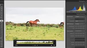 Our antivirus scan shows that this mac download is clean. Adobe Photoshop Lightroom 4 Beta For Windows And Mac Free Download