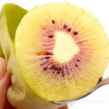 Red Hong Yang Kiwifruit Benefits Varieties Nutritious In Stock Manufacturers And Suppliers Wholesale Price Qifeng Fruit