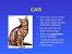 Cat Sentences In English