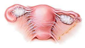 Back Pain And Nausea Causes Diagnosis And Treatments