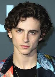 Fan Casting Timothée Chalamet as Duke Devlin in Yugioh