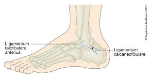 Senebetennelse kan være vondt og ubehagelig. Fotballskade Behandling Nordstrand Idrettsforening