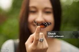 Natural Woman With Monarch Butterfly On Nose Stock Photo