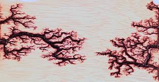 Fractal Lichtenberg Figure Wood Burning With Electricity