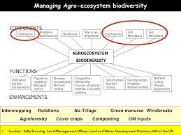 Types and roles biodiversity refers to all species of plants, animals, and microorganisms existing and interacting the main approach in ecologically based pest management is to use management methods that increase agroecosystem diversity and complexity. Pengelolaan Sumberdaya Alam Dalam Agroekosistem Ppt Download