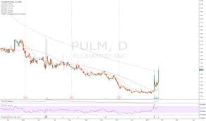 Pulm Stock Price And Chart Nasdaq Pulm Tradingview