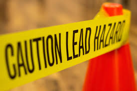 Image result for Lead Poisoning