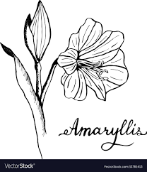 Pin On Illustration