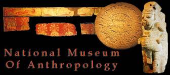 「anthropology museum」の画像検索結果