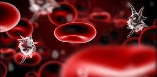 Sepsis occurs when the immune system's inflammatory response is dysregulated in response to sepsis can be deadly, so being educated on the signs is key. Blutvergiftung Die Typischen Symptome Der Sepsis Tabelle