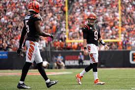 Joe Burrow: It's exciting for me to have Tee Higgins this year - NBC Sports