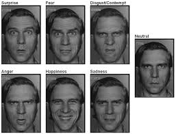 Sec contempt claim over two tweets. The Six Universal Emotions And Neutral Expression Download Scientific Diagram